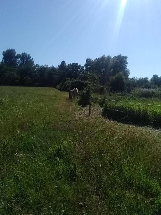 Maison Individuelle 5 Couchages Dans Ferme Equestre Aups Dış mekan fotoğraf